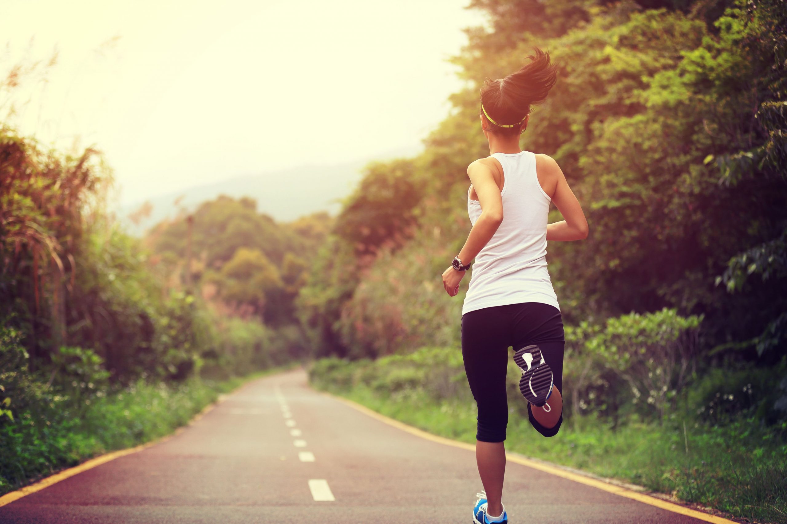 North Point Chiropractic|North Point Chiropractic